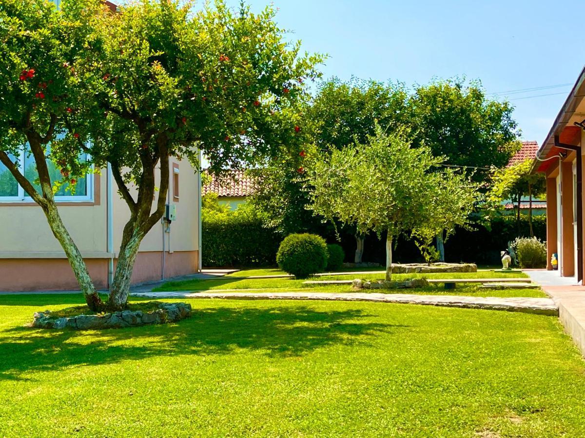 Apartment Helena Airport Ποντγορίτσα Εξωτερικό φωτογραφία